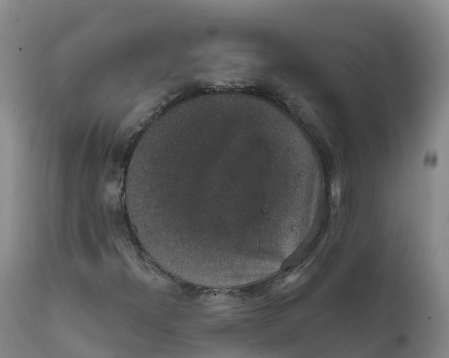 X0000111831300200908131536