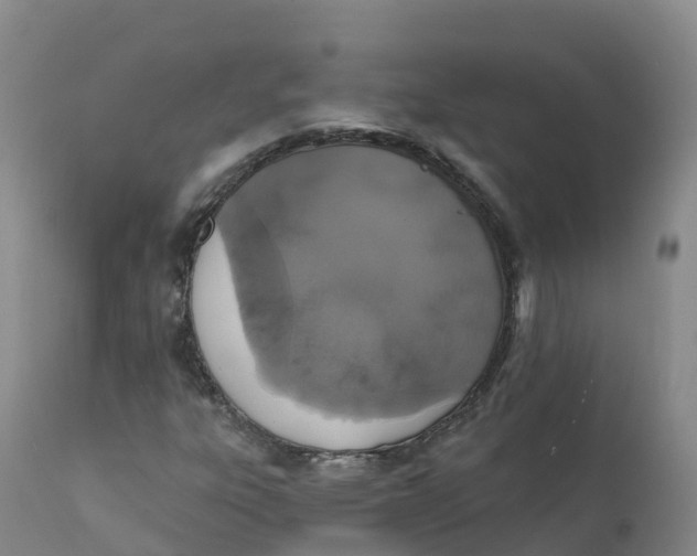 X0000111831303200908131536