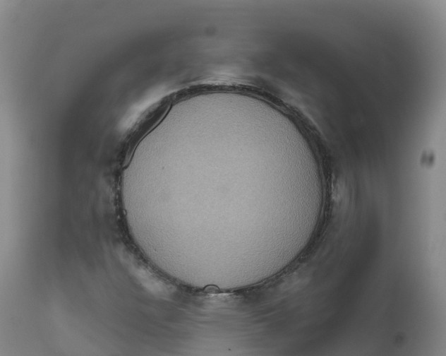 X0000111831304200908131536