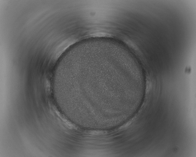 X0000111831305200908131536