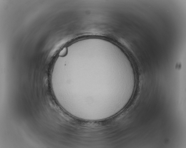 X0000111831307200908131536