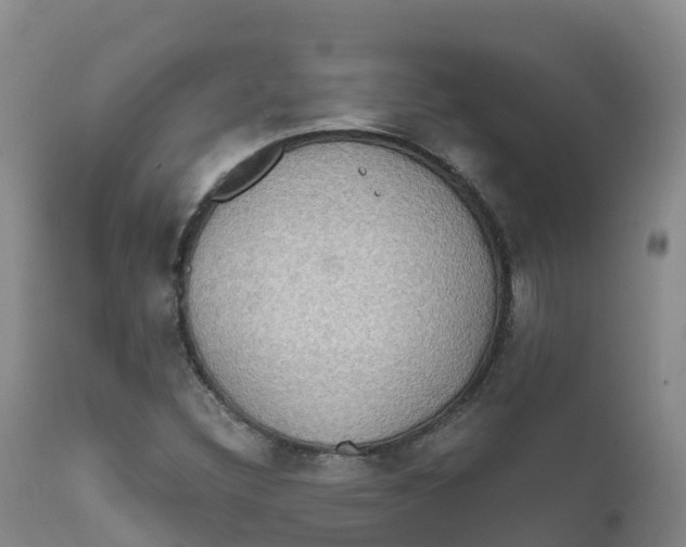 X0000111831308200908131536