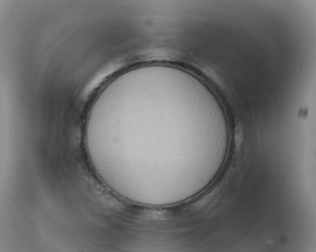 X0000111831309200908131536