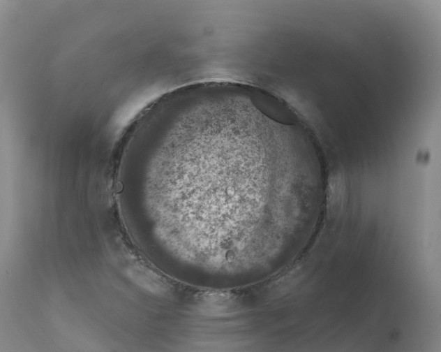 X0000111831310200908131537