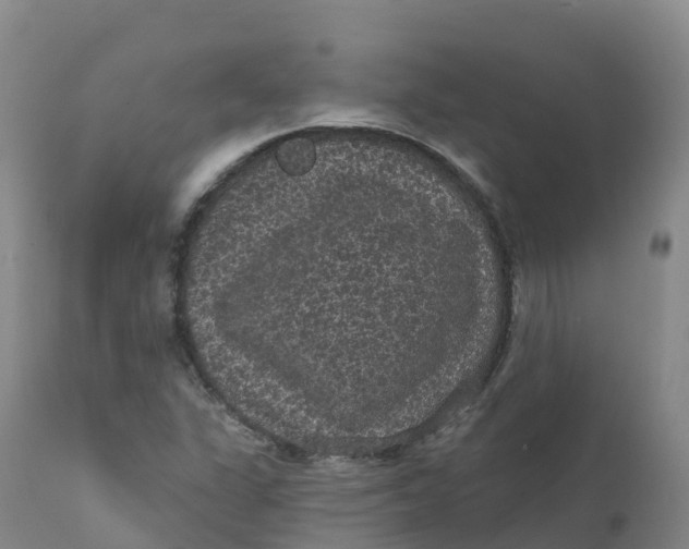 X0000111831311200908131537