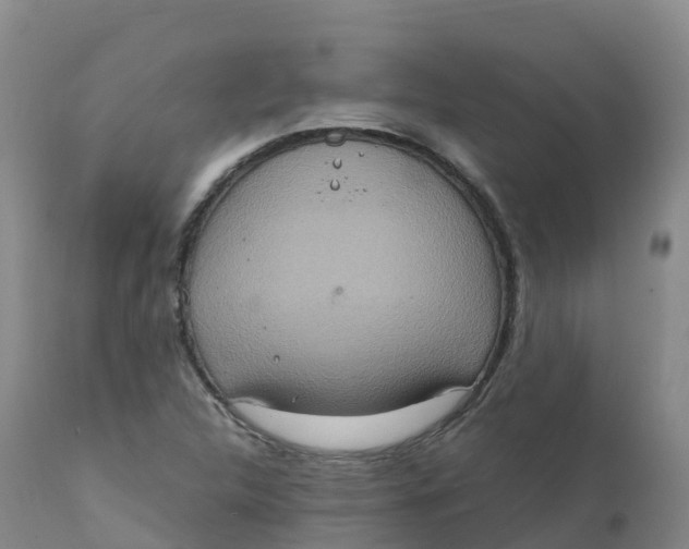 X0000111831312200908131537