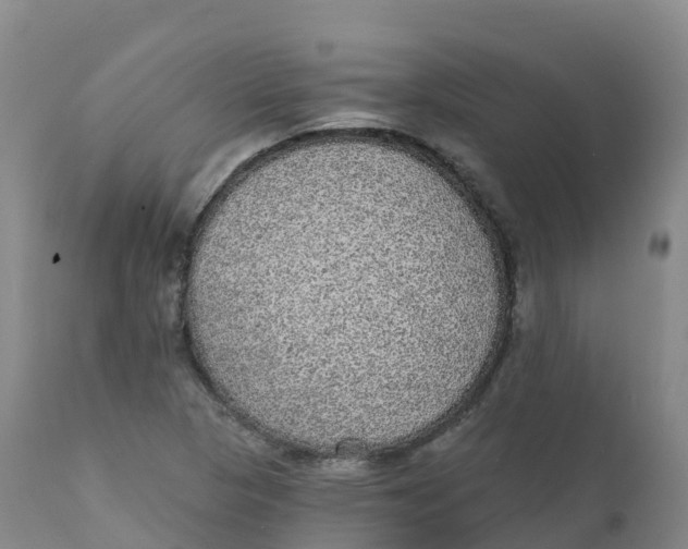 X0000111831313200908131537