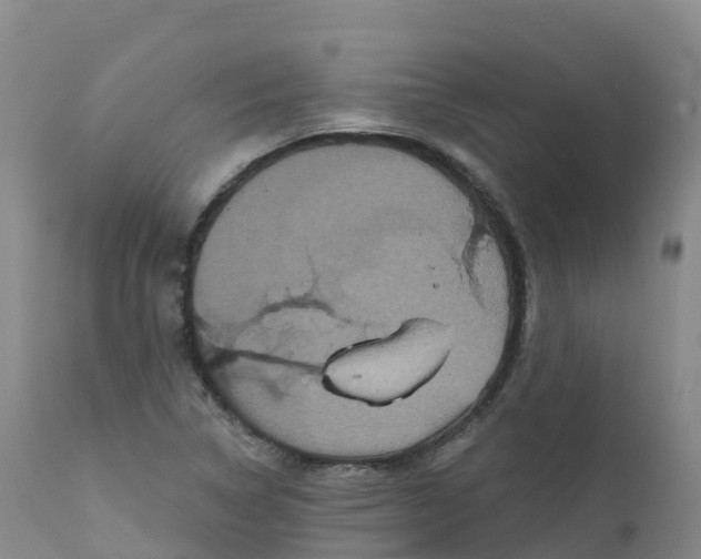 X0000111831314200908131537