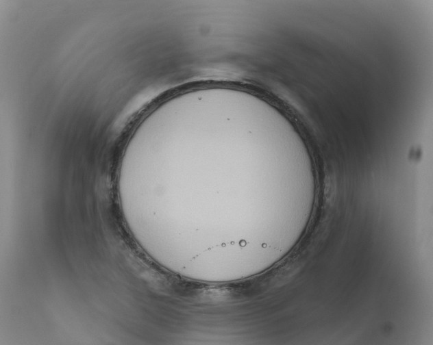 X0000111831315200908131537