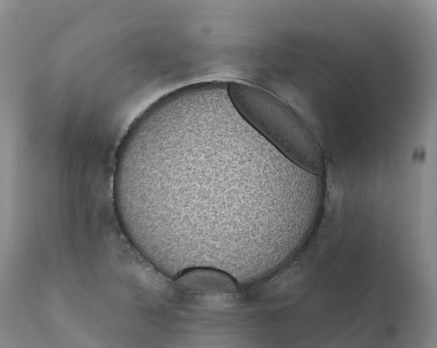 X0000111831316200908131537