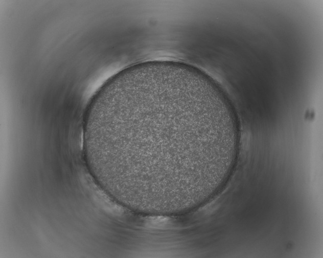 X0000111831317200908131537