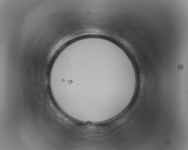 X0000111831318200908131537