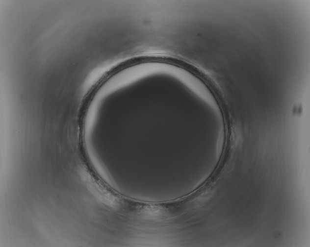 X0000111831319200908131537