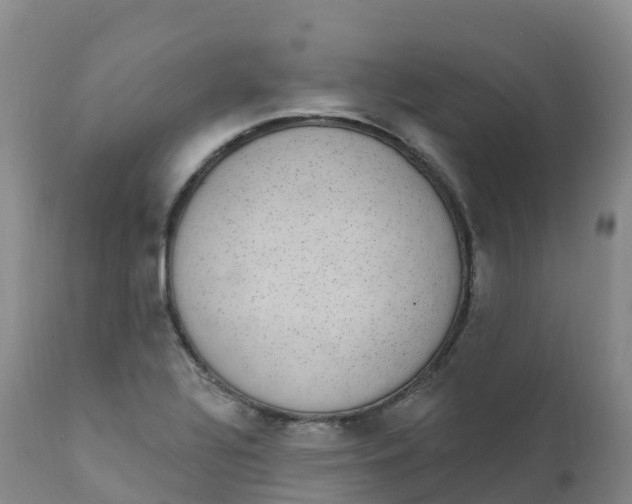 X0000111831320200908131537