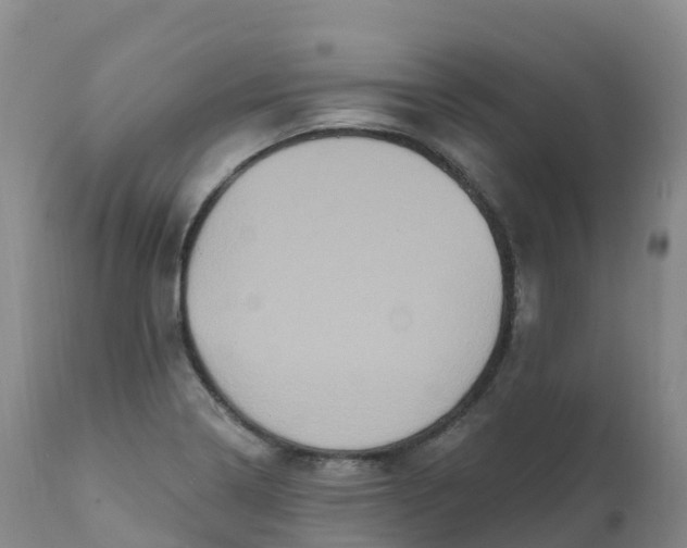 X0000111831322200908131537