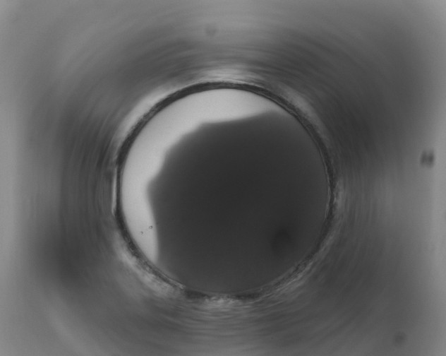 X0000111831323200908131537