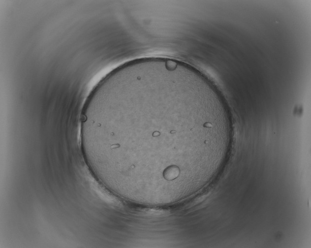 X0000111831324200908131537