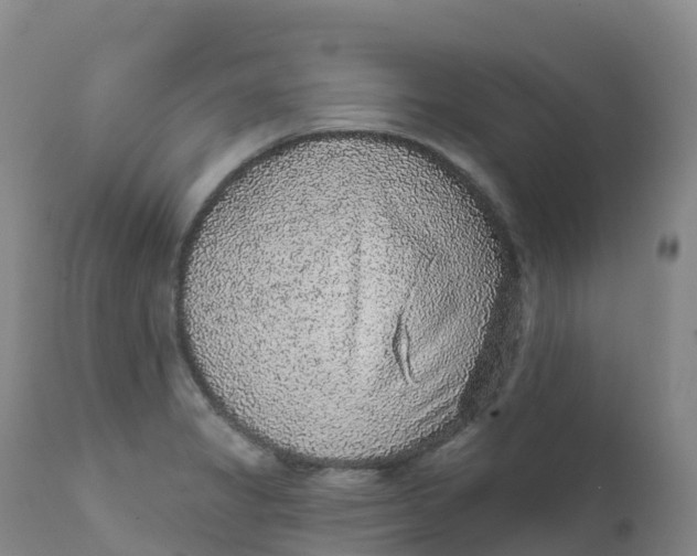 X0000111831325200908131537