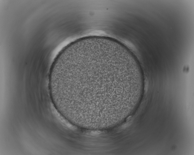 X0000111831326200908131537