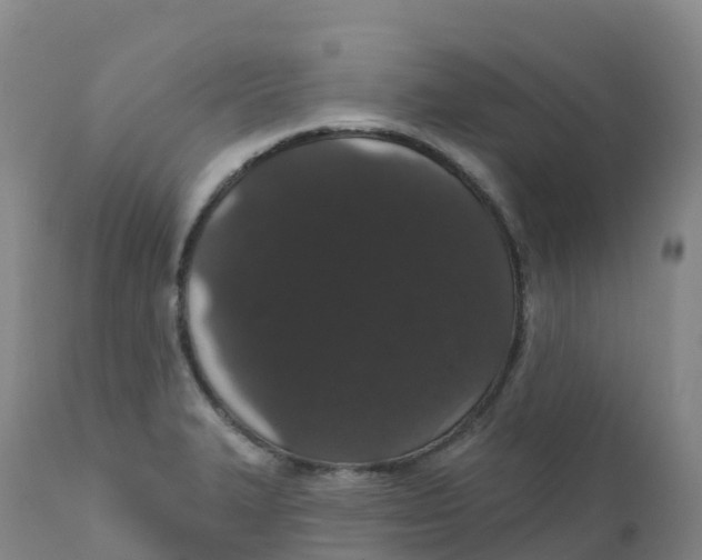 X0000111831327200908131537