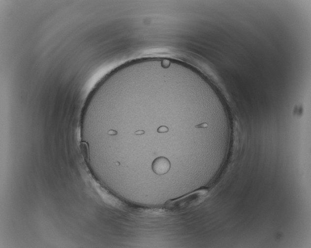 X0000111831328200908131537