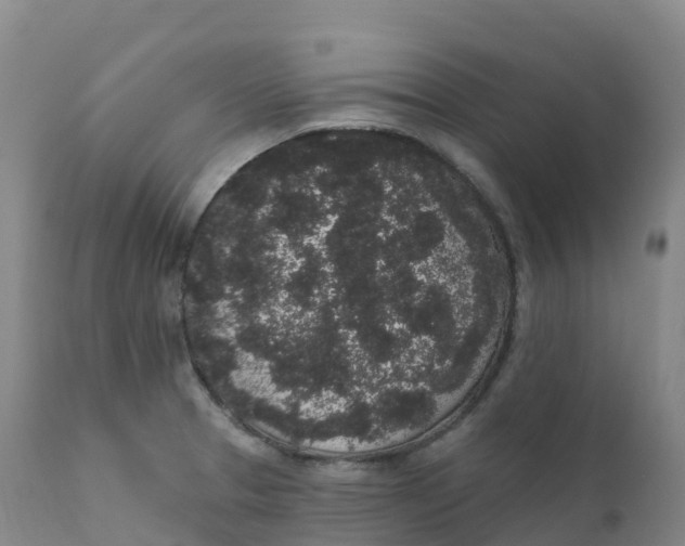 X0000111831329200908131537