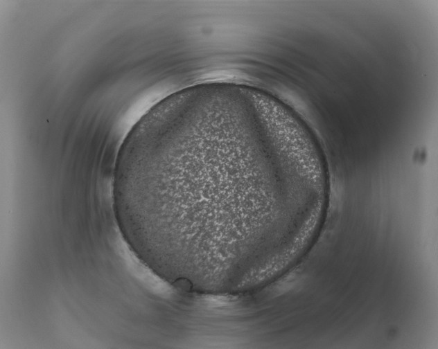 X0000111831330200908131537