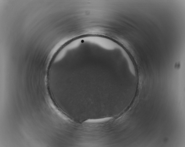 X0000111831331200908131537