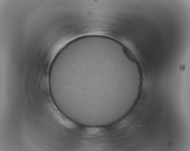 X0000111831332200908131537