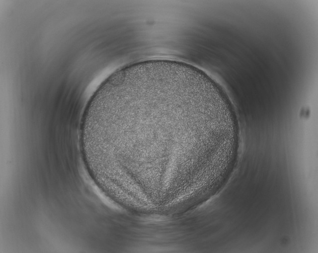 X0000111831333200908131537