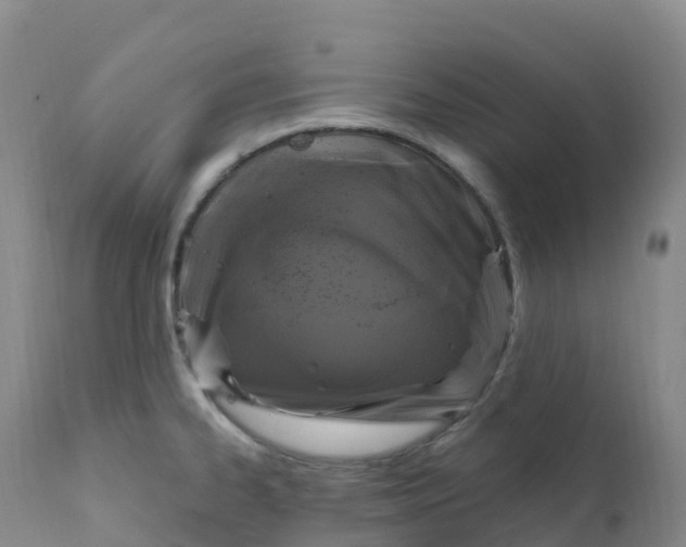 X0000111831334200908131537