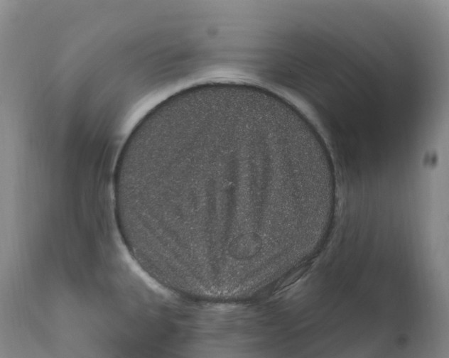 X0000111831335200908131537