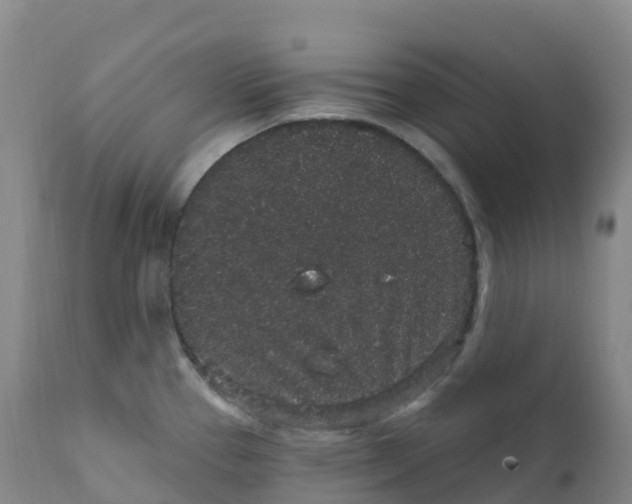 X0000111831337200908131537