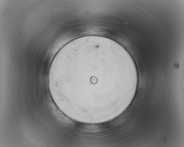 X0000111831338200908131537