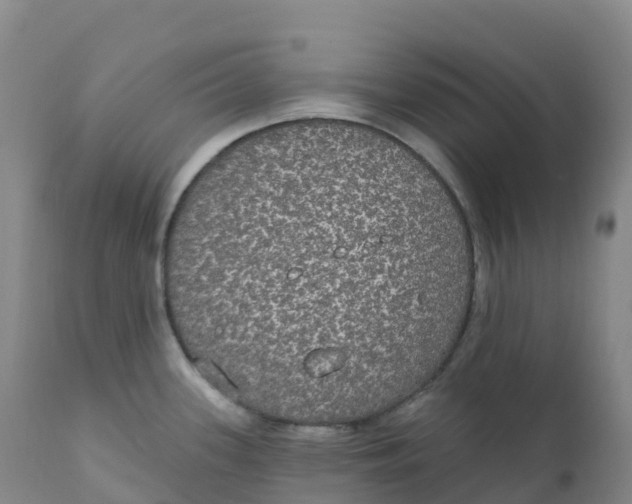 X0000111831339200908131537