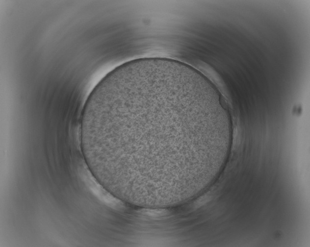 X0000111831340200908131537