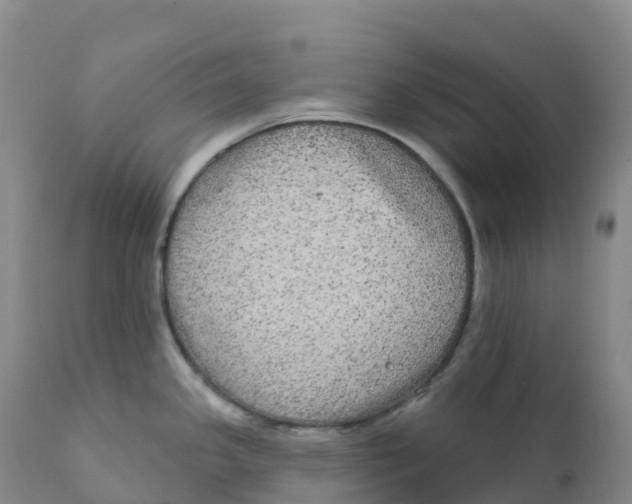 X0000111831341200908131537