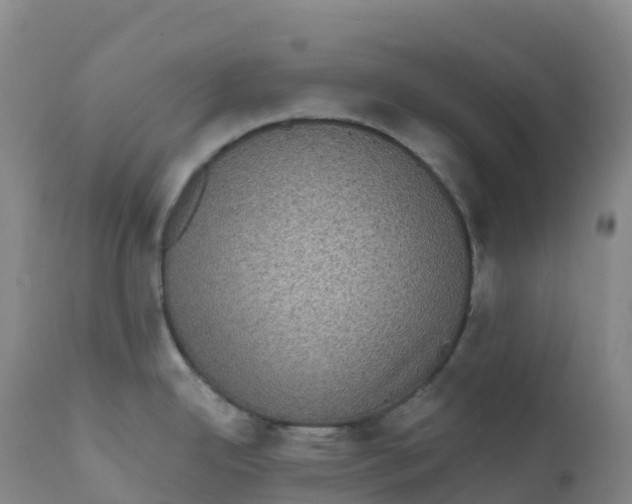 X0000111831342200908131537