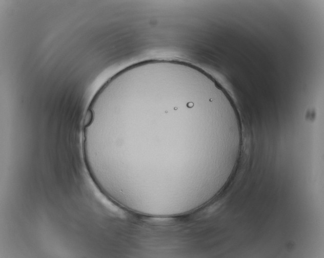 X0000111831343200908131537