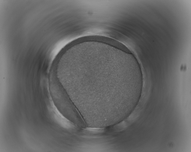 X0000111831344200908131537