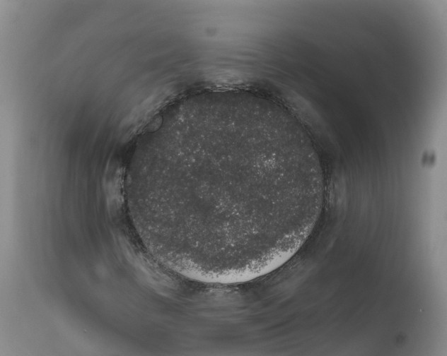 X0000111831346200908131536