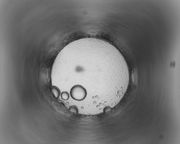 X0000111831347200908131536