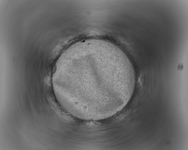 X0000111831348200908131536