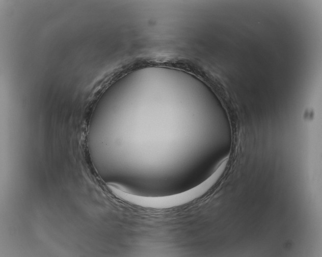 X0000111831349200908131536