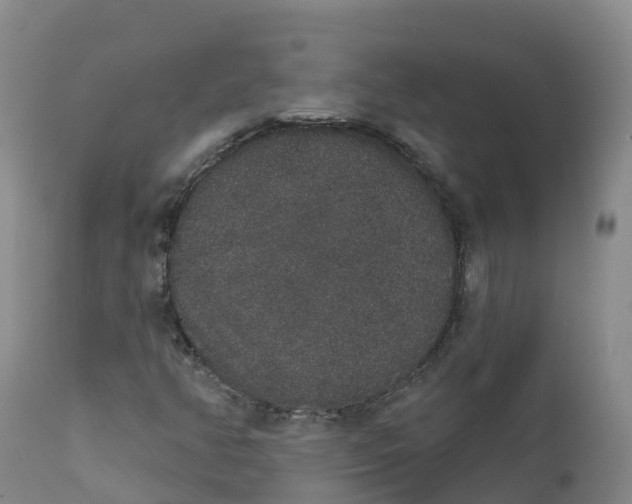 X0000111831350200908131536