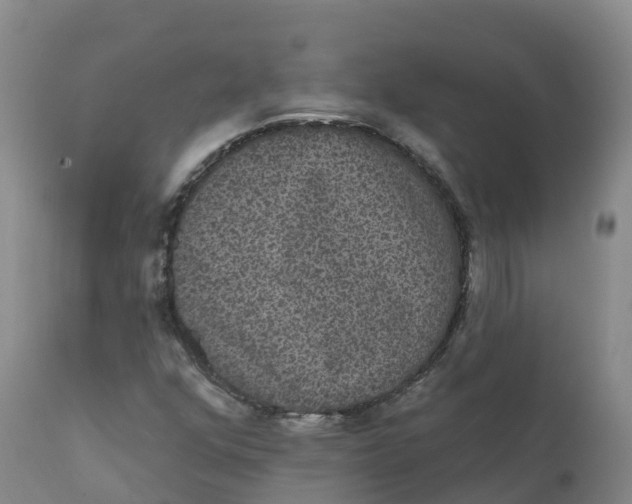 X0000111831352200908131536