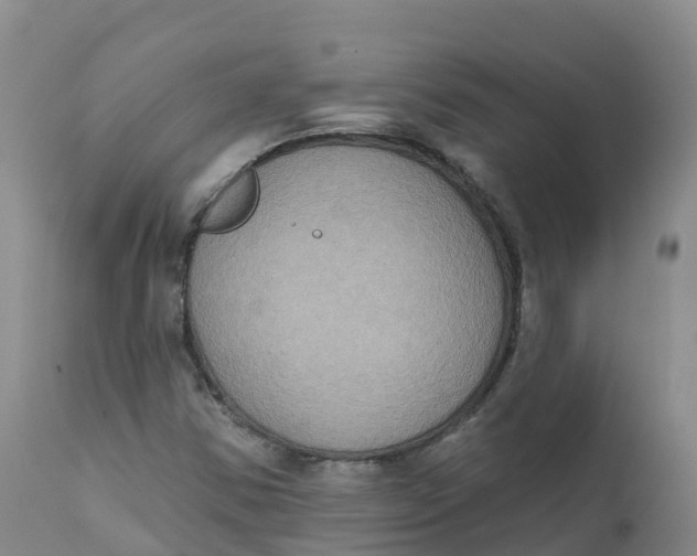 X0000111831354200908131536