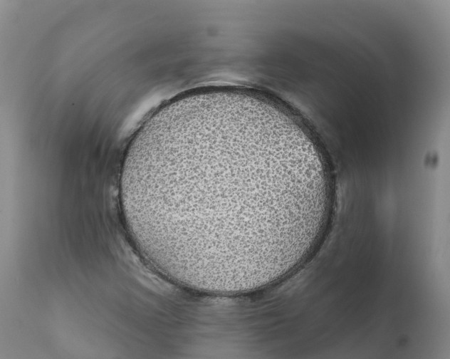 X0000111831355200908131536