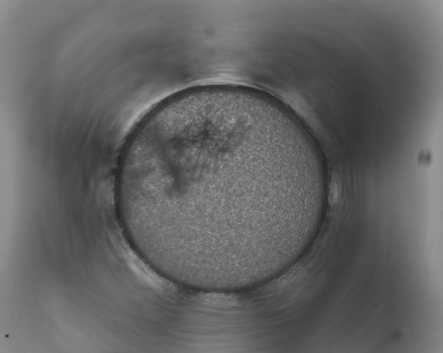 X0000111831356200908131536