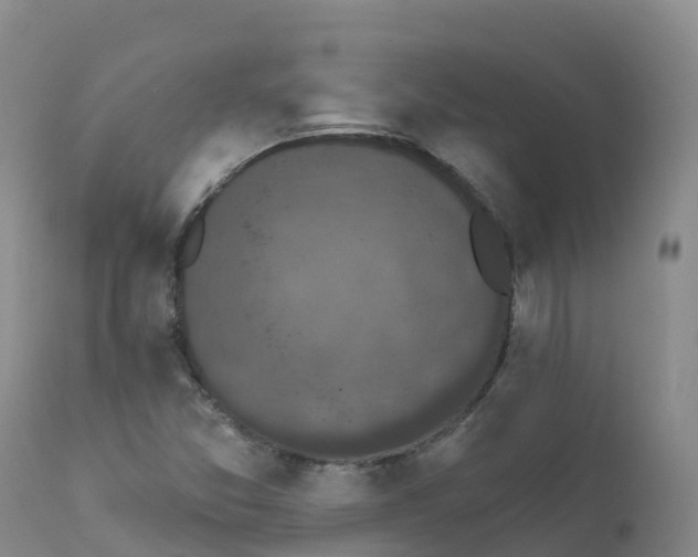 X0000111831357200908131536